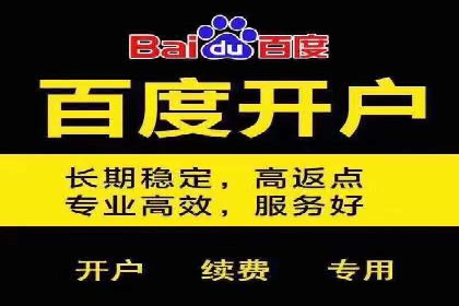 百度推广实战案例：如何精准投放广告